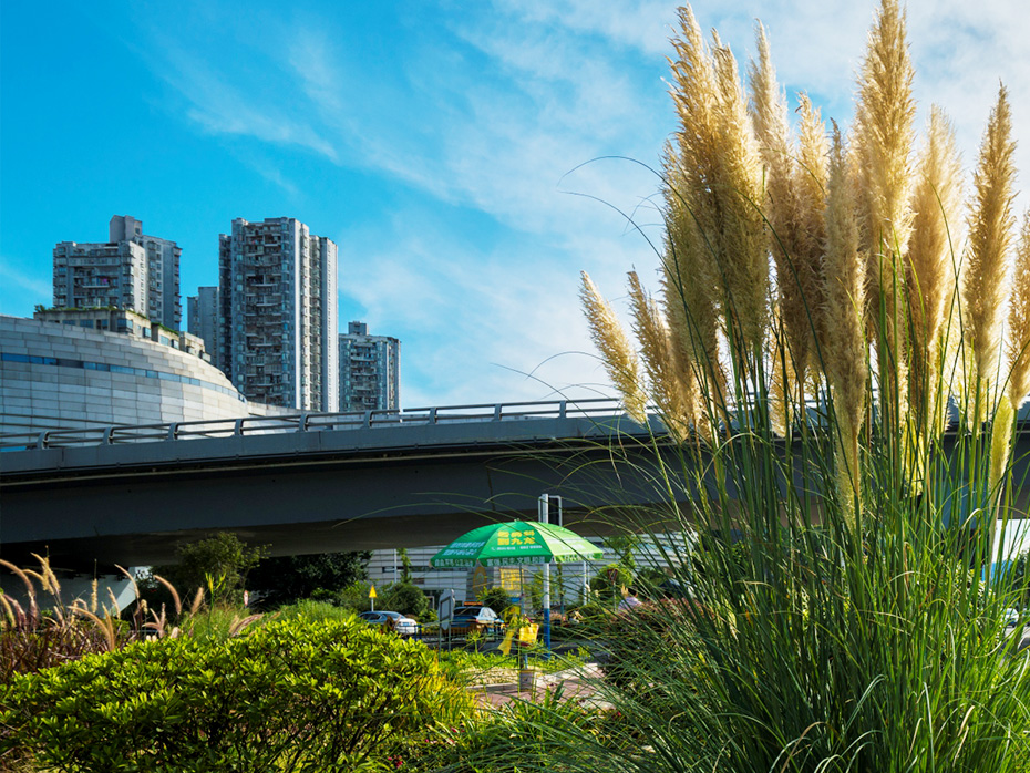 沱江二橋加寬改造工程附屬景觀建設(shè)項(xiàng)目